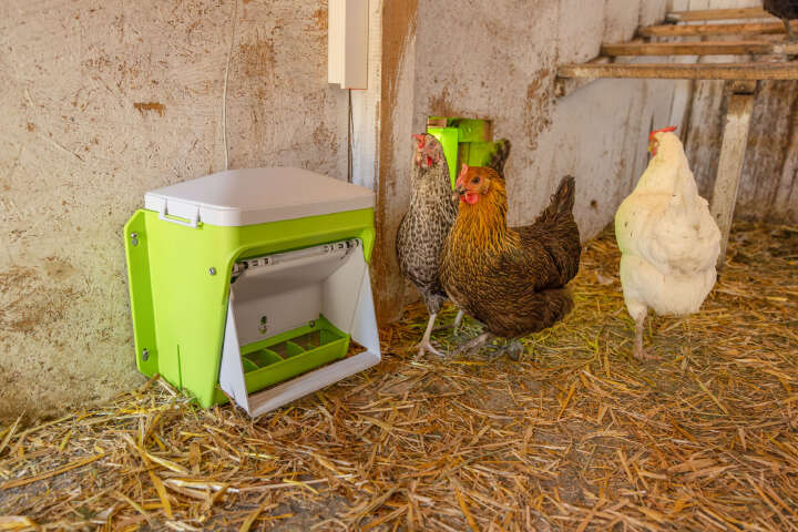 KERBL SmartCoop Futterdosierer mit Füllstandsensor